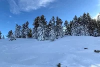 Мрачная тайна Кутурчин парадоксальным образом всё больше становится магнитом для туристов