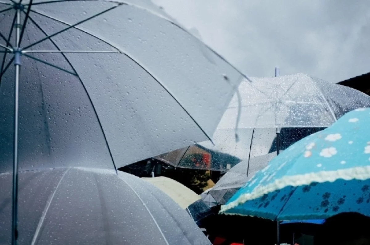 Синоптик Позднякова предупредила москвичей о дождях на следующей неделе