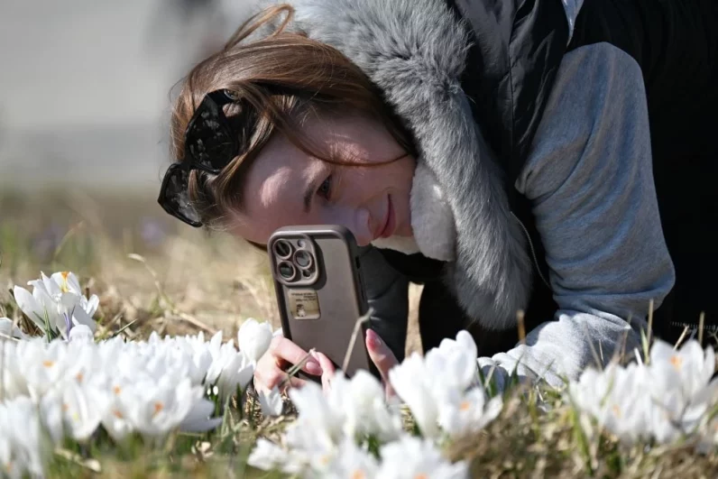 Роскошная палитра распустившихся первоцветов символизирует окончательное наступление долгожданной весны в Москве.