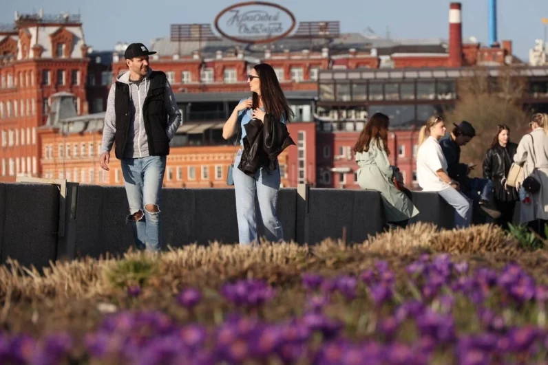 Яркие фиолетовые крокусы эффектно выделяются на фоне брусчатки рядом с заводом «Красный Октябрь».