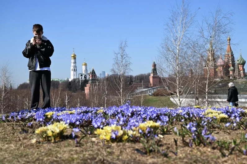 Крупные ботанические крокусы великолепно вписываются в строгую архитектуру центральных пространств.