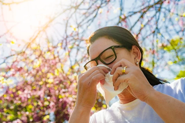 Аллергический ринит (поллиноз, сенная лихорадка, сезонный ринит) — заболевание, которое обусловлено повышенной чувствительностью к пыльце различных растений.