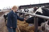 Животноводы говорят: если закупочные цены не поднимут, им не удастся продолжить производство.