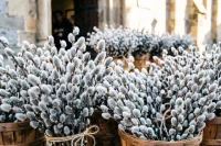 Ветви можно хранить дома весь год, категорически нельзя выбрасывать их в мусор.