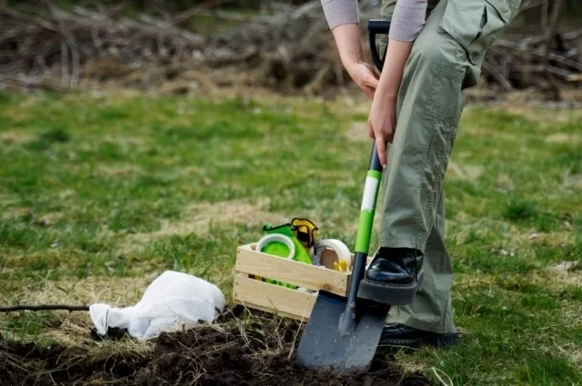 Если почва подсохла, пора начинать приводить участок в порядок