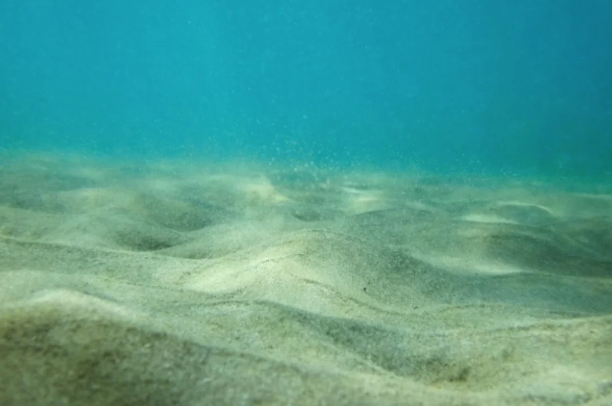 В Дании нашли обломки затонувшего более 200 лет назад военного корабля