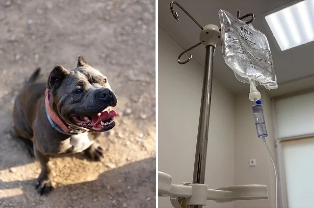 Пострадавшую от нападения женщину доставили в реанимацию.