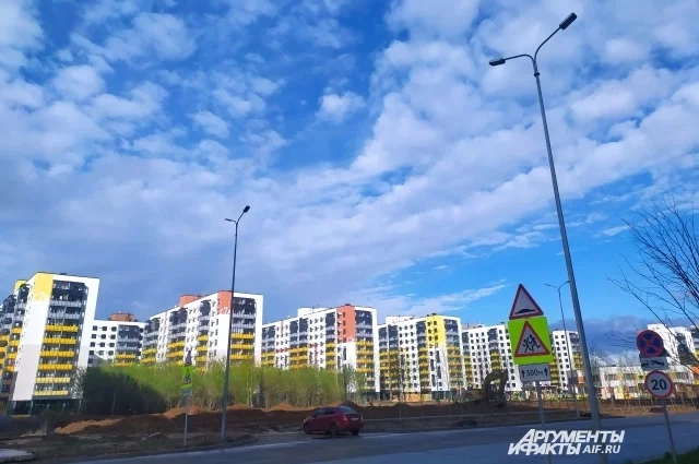 Молодёжь сбивается в банды, промышляет «чернухой» и чувствует полную безнадёжность и безнаказанность.