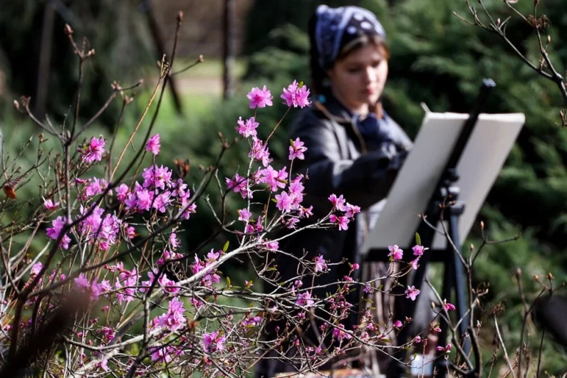 В Аптекарском огороде МГУ стартовал долгожданный сезон цветения. Распускается красавица-сакура: сотни москвичей приходят полюбоваться этим весенним зрелищем, а некоторые даже приносят с собой мольберты.