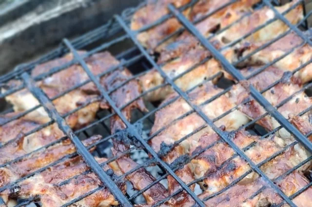 Во время действия особого противопожарного режима нельзя жарить шашлыки ни на дачах, ни в лесу, ни в частных домах