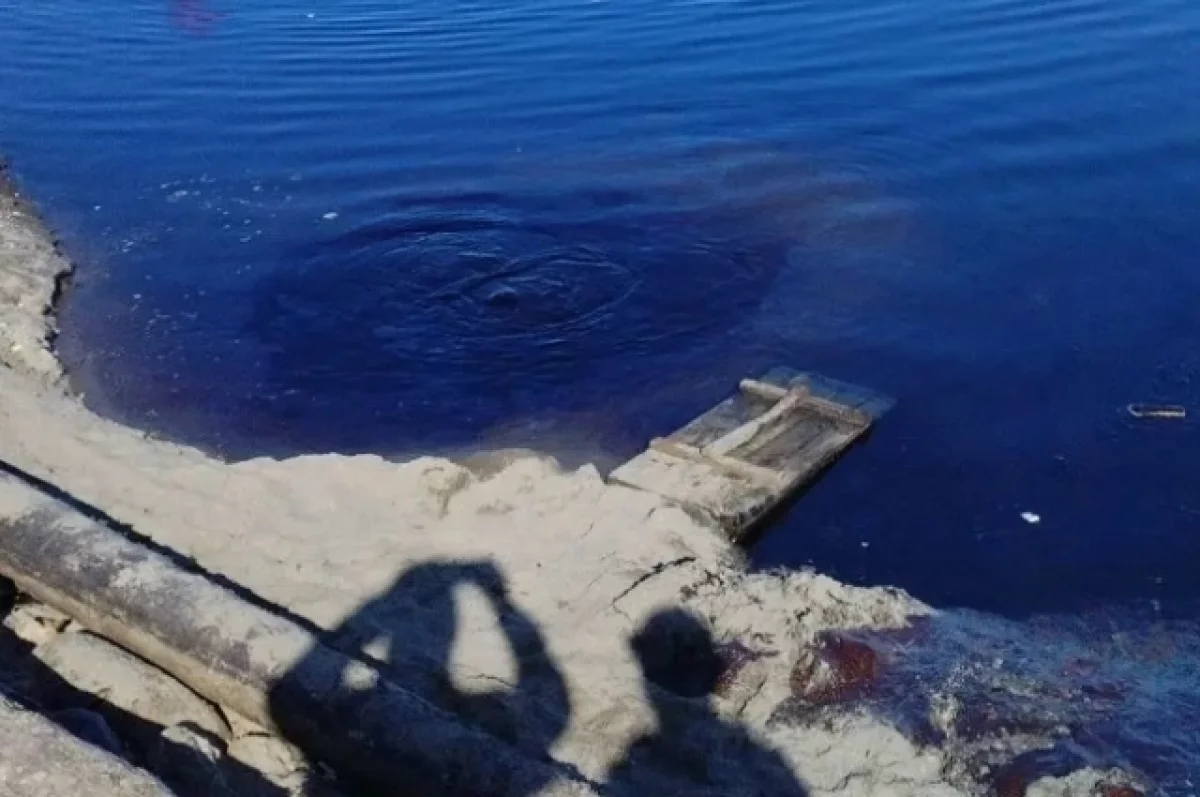 Пятно таллового масла, попавшее в Выгозеро, локализовали в Карелии