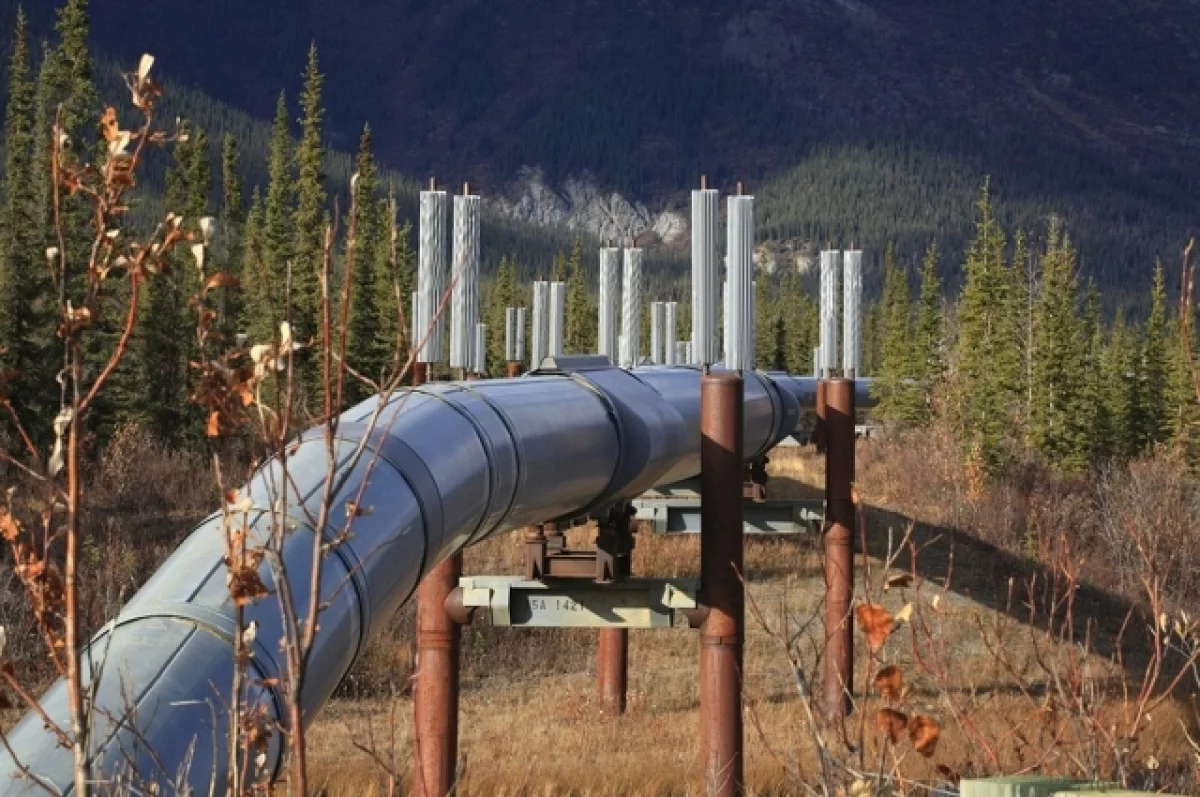 В Ленинградской области при атаке БПЛА пострадал нефтепровод