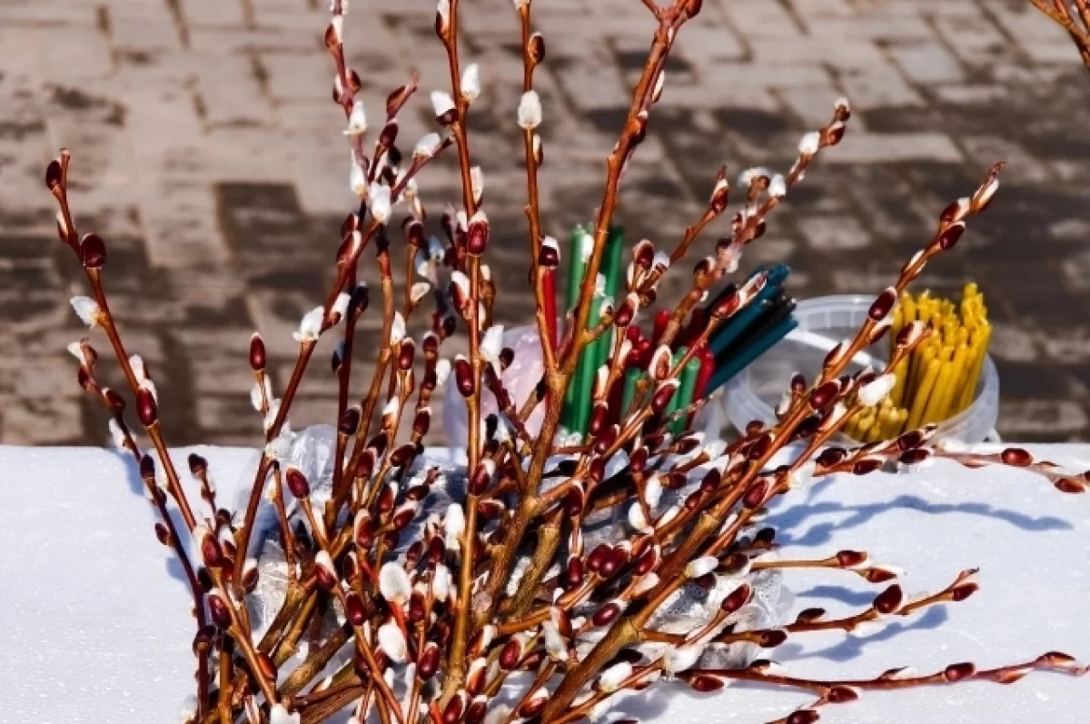 Парфенчиков поздравил жителей Карелии с Вербным воскресеньем