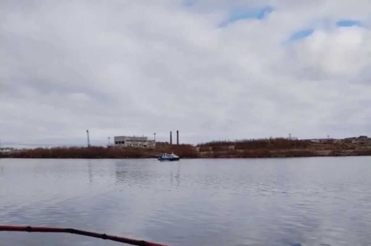 В Карелии продолжают устранять загрязнение акватории залива озера Выгозера