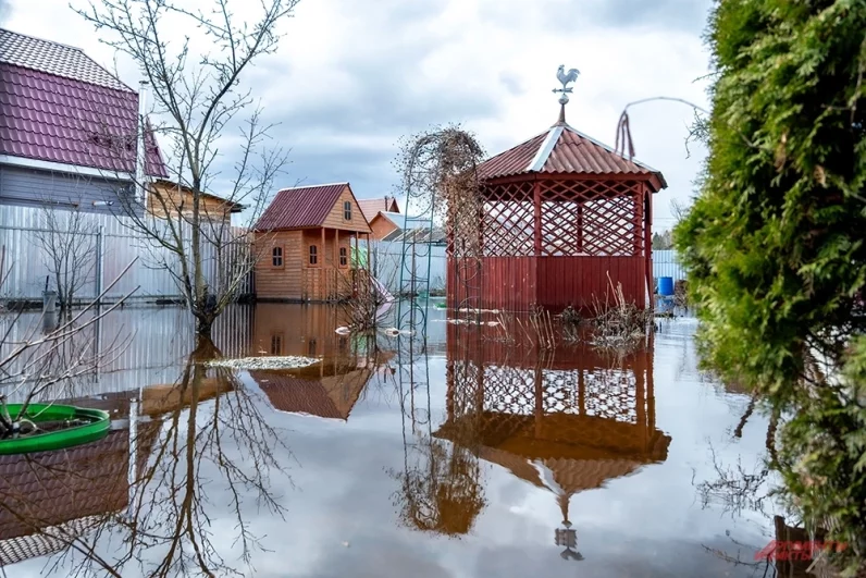 Вместе с водой уходит и земля. Жителям СНТ «Сирень» приходится покупать землю, чтобы сохранить остатки огорода.