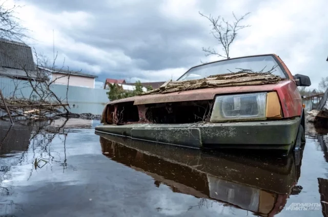 В Московской области сейчас наблюдается активная фаза весеннего половодья.