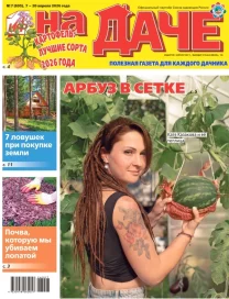 Картофель: лучшие сорта 2026 года