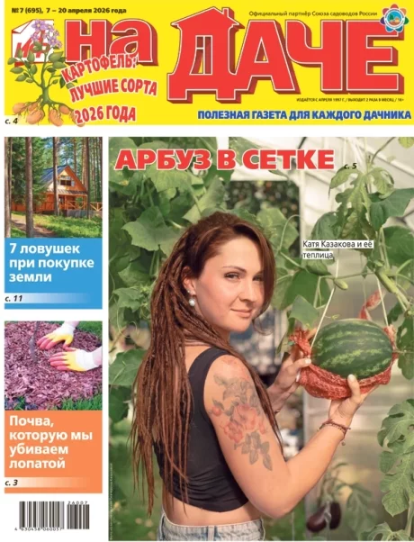 Свежий номер