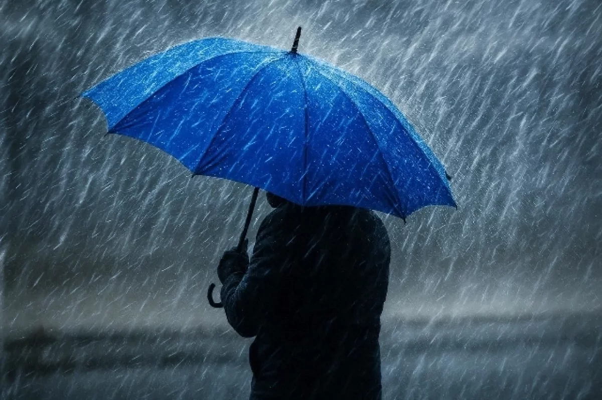 Синоптик Ильин предупредил о мокром снеге и заморозках в Москве на следующей неделе