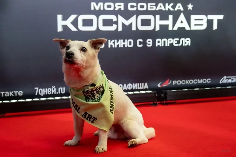 Собака по кличке Нэк.