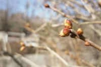 Через Оренбуржье начнут проходить атмосферные фронты один за другим. 