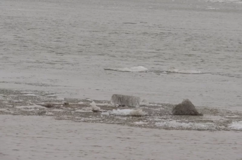 Льдины быстро несёт по Иртышу течением.