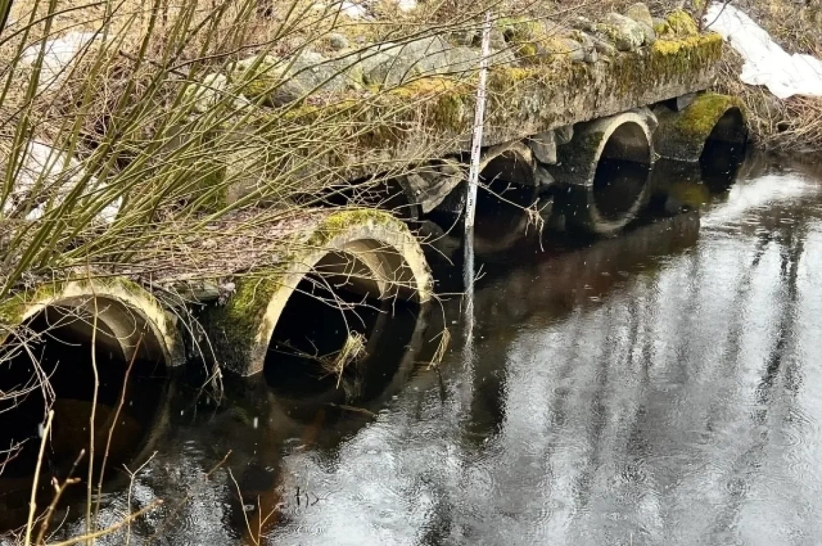 Уровень воды в Лососинском водохранилище сохраняется в норме