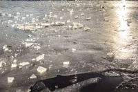 Более 250 домов в Марий Эл оказались затоплены во время паводка