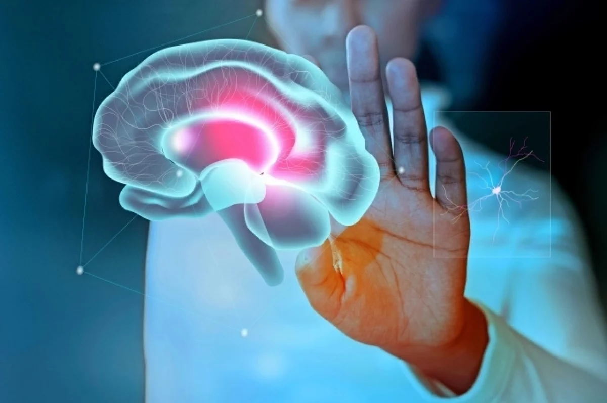 Биолог Лидский рассказал о связи места жительства со старением мозга