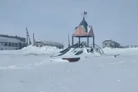 Девочка играла на детской площадке, когда на неё напали собаки