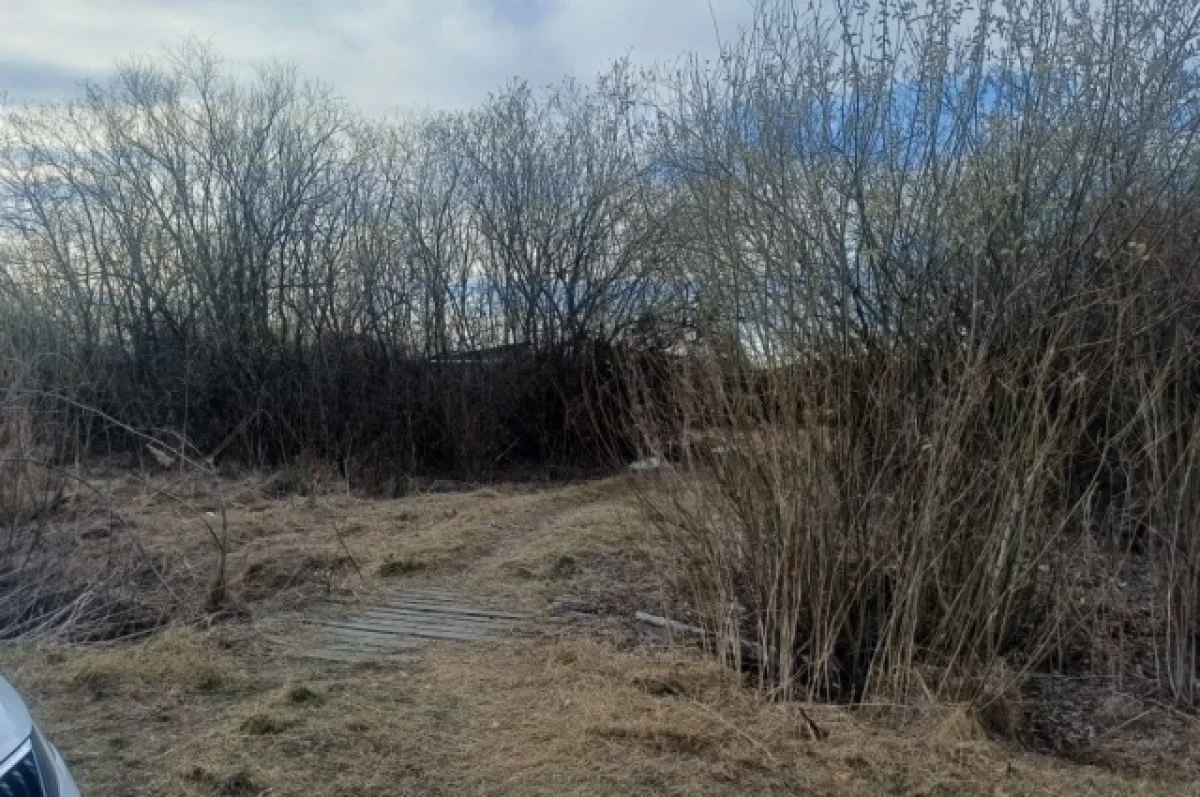 В Тюмени нашли сумку с телом новорожденного ребенка