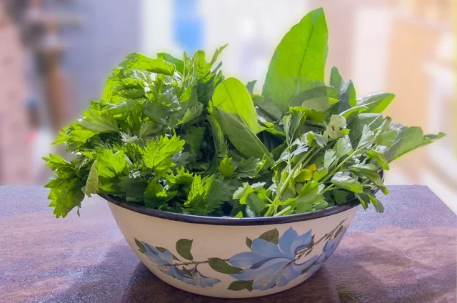 Каждую весну мы тянемся к первой нежной зелени.