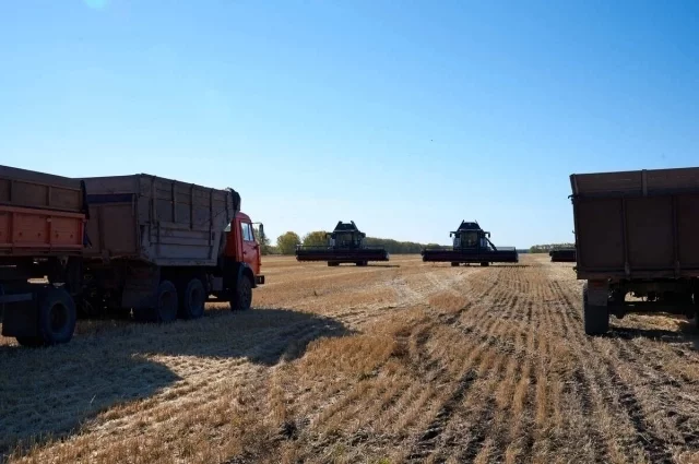Весна – очень ответственная пора для всех растениеводов Кубани.