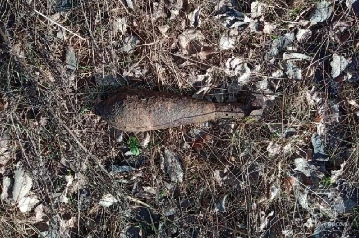 Брянские саперы обезвредили минометную мину времен войны