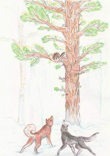 67. «С дерева на дерево». Номинация: «Мои друзья – Сибирячок, Боцман и другие»