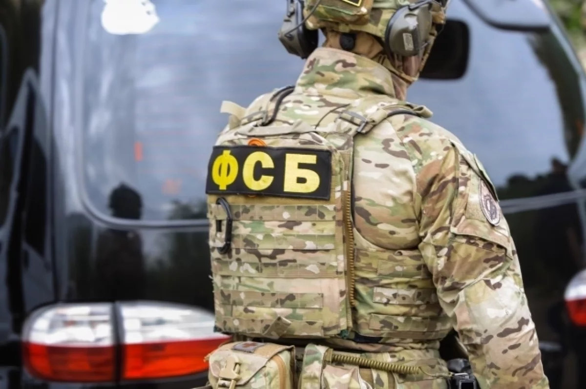 ФСБ: задержаны организаторы крупнейшей площадки бумажного НДС