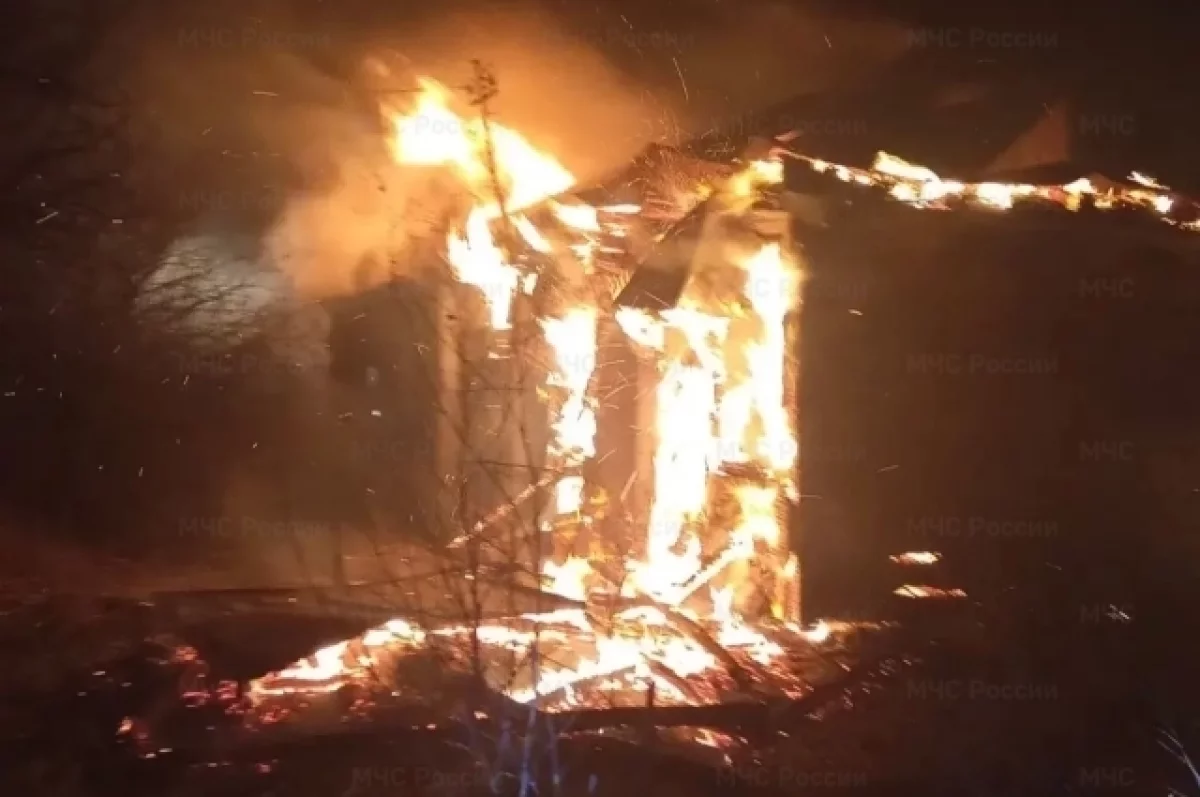 На пожаре в селе Домашово под Брянском погиб 54-летний мужчина