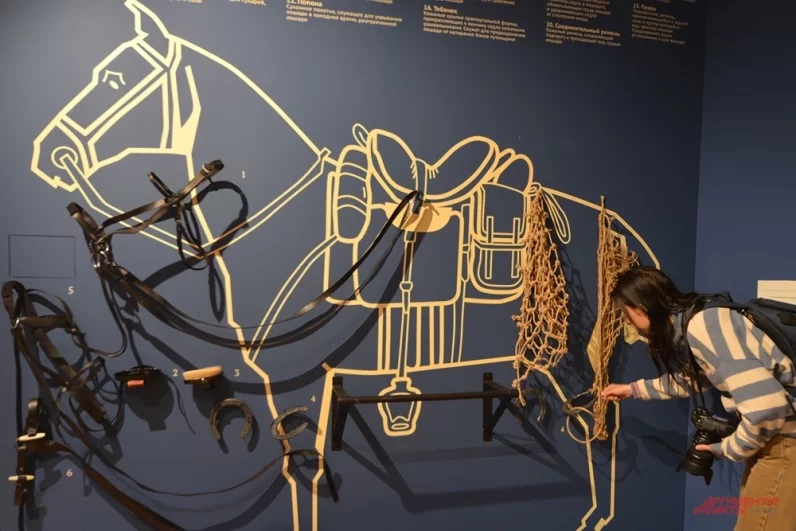 Здесь представлено даже снаряжение для лошади. Правда, сама лошадь в экспозиции ненастоящая — животное изображено прямо на стене.