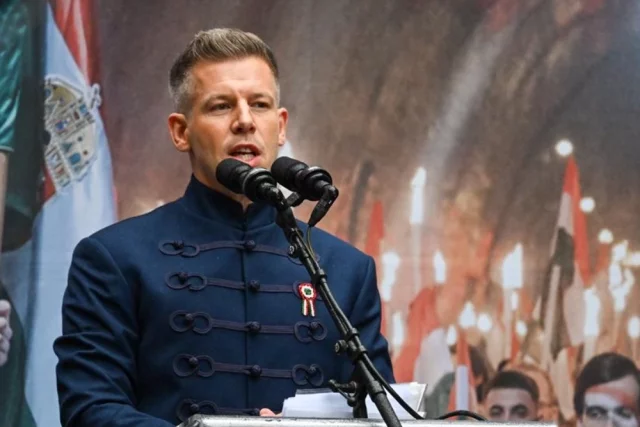 Сразу после победы на выборах Мадьяр заявил, что не поддерживает поставки оружия для Украины, а также выступает против форсированного вступления Киева в ЕС.