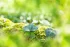 8b78744cfb288ac64ddb19a442ec5bbd.webp