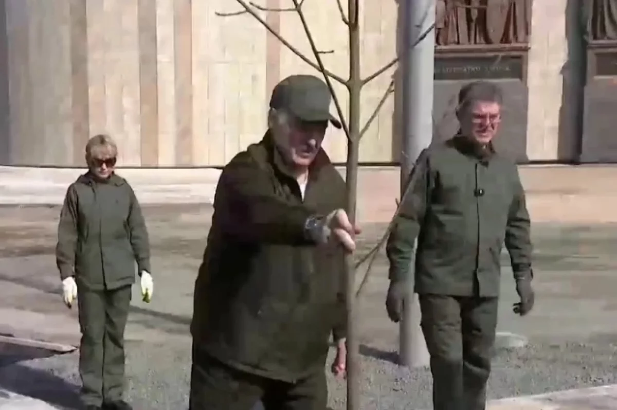 Лукашенко вместе с сыном Николаем посадил дерево во время субботника