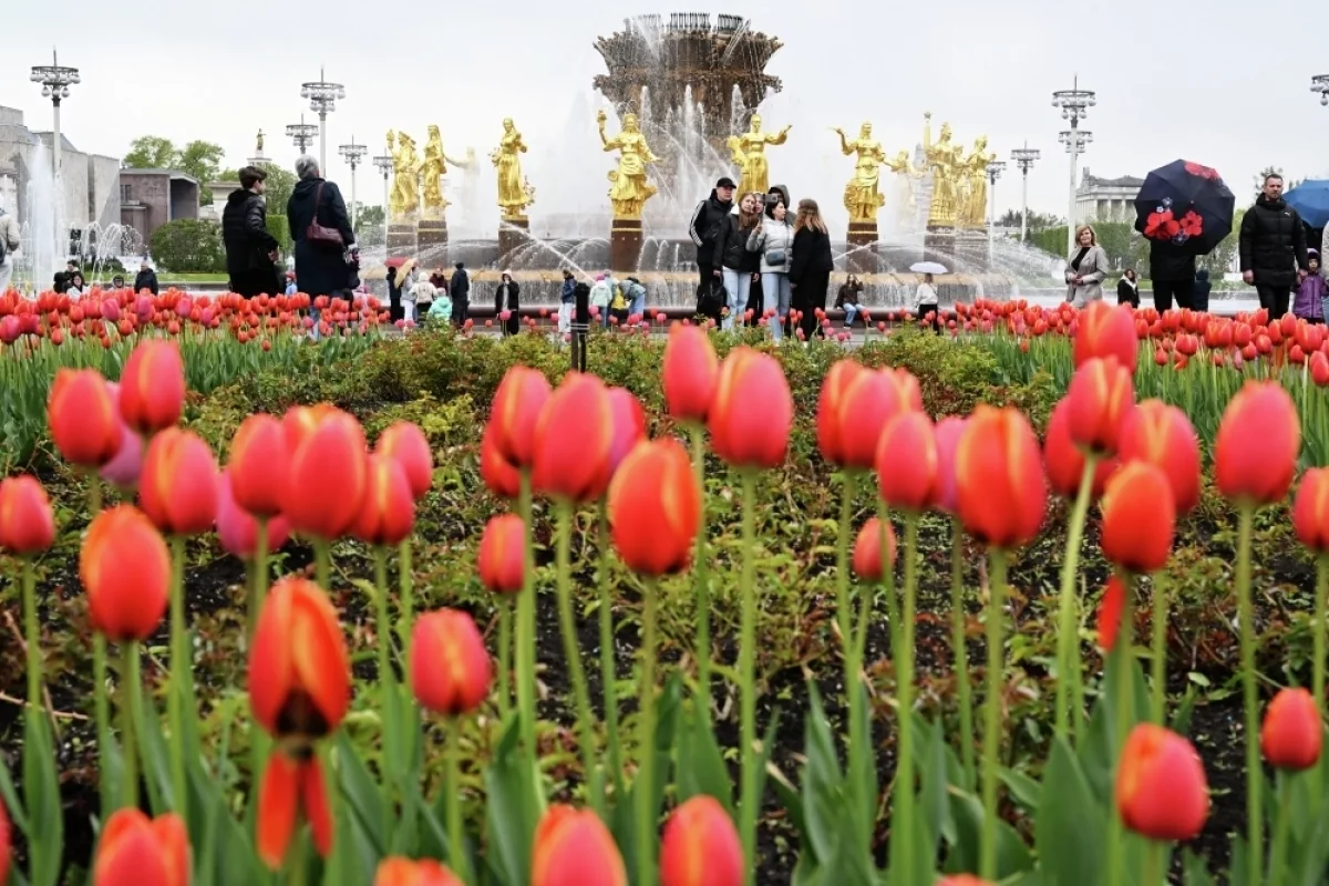 Мюзикл у фонтана. Что посмотреть в новом сезоне ВДНХ
