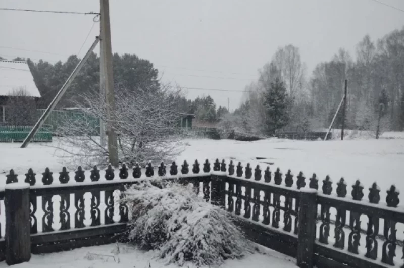 Весенние кустарники склонились перед зимними гостями