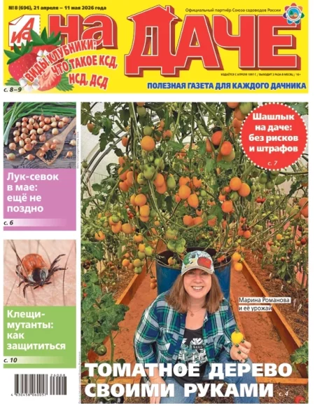 Свежий номер