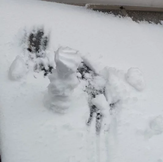 А вот снеговичков горожане лепить не разучились.