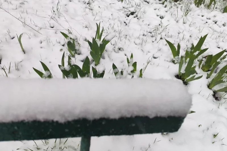 Снегопады в Центральной России обещают в апреле вовсе не эпизодические.