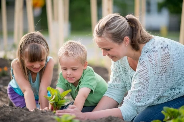 Ещё допустимо сеять культуры, которые устойчивы к пониженным температурам, — салаты, свёклу, морковь, зелень. Но затягивать дальше уже рискованно.