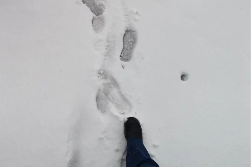 Горожане успели утратить навыки хождения по льду и снегу.