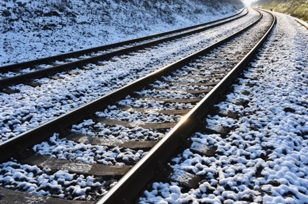 Синоптик Ильин предупредил о выпадении снега в Москве в ближайшие дни