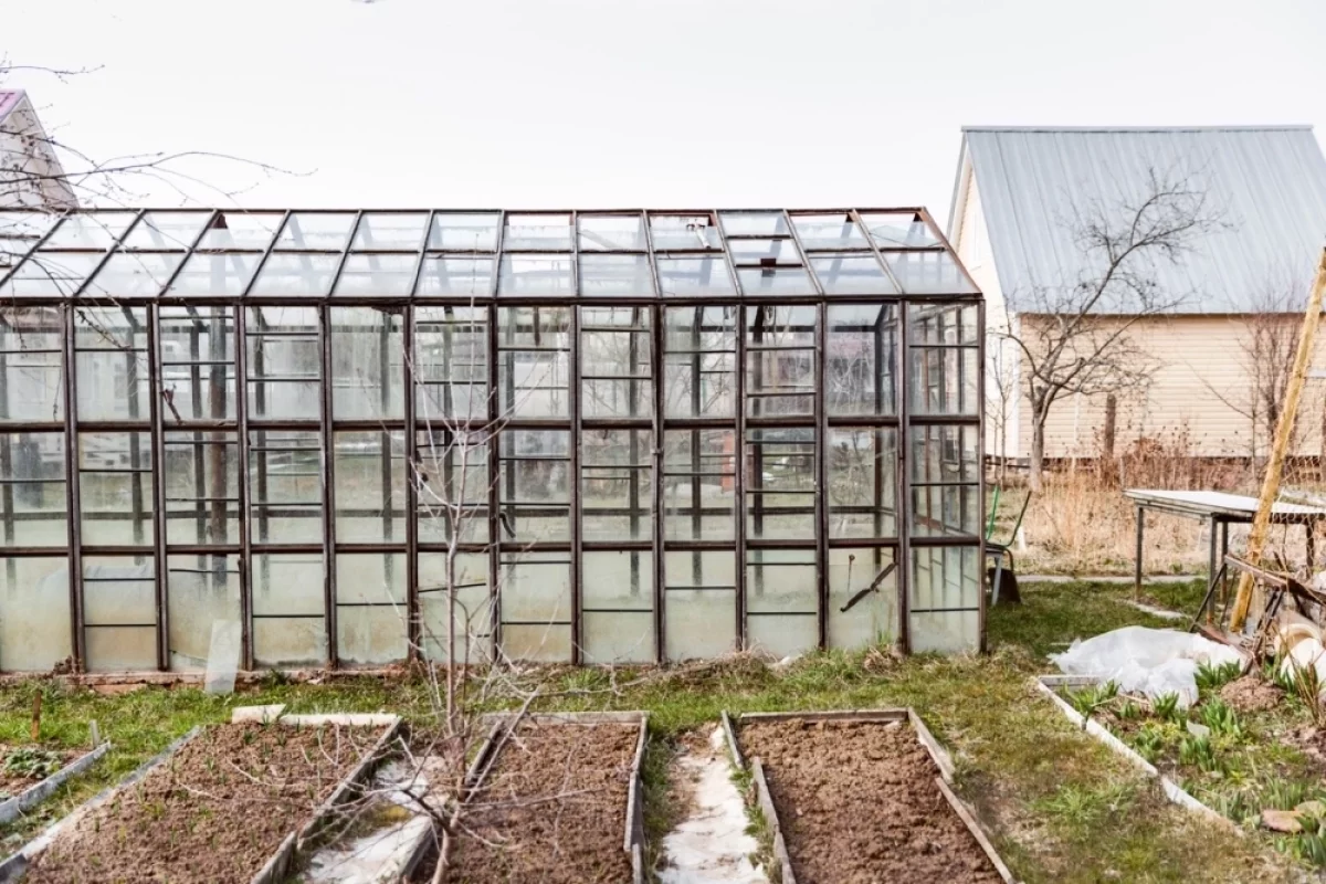 Эксперт Свечникова объяснила, что можно выращивать на участке ИЖС